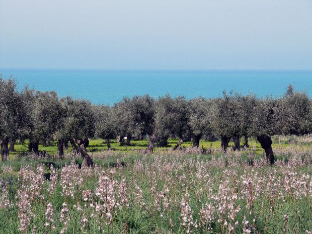 Love Gargano
