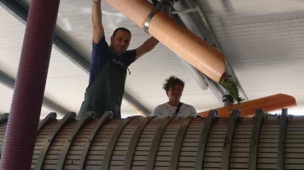 Vendemmia 2018