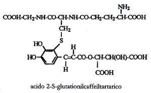 acido 2-S-glutationilcaffeiltartarico